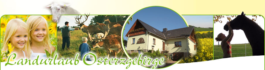 Sommer Landurlaub Osterzgebirge